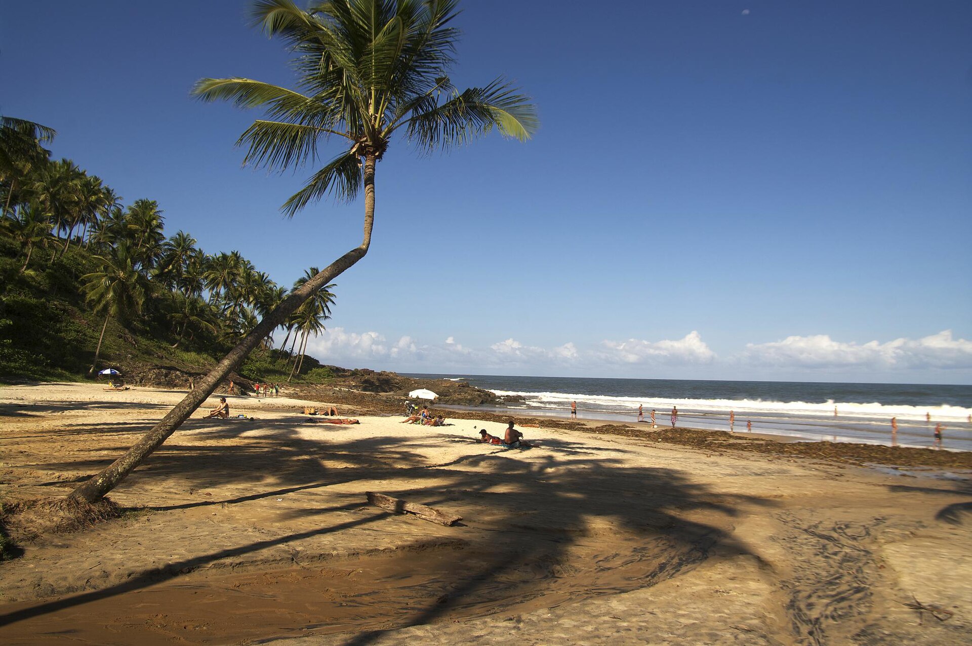 Palm-lined sandy beach beside the Atlantic Ocean in Itacaré, Bahia.